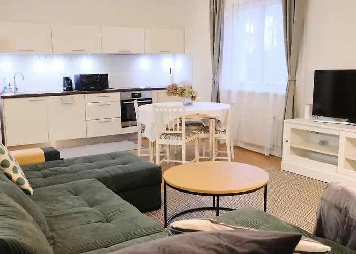 Vienibas Prospekts Apartment.